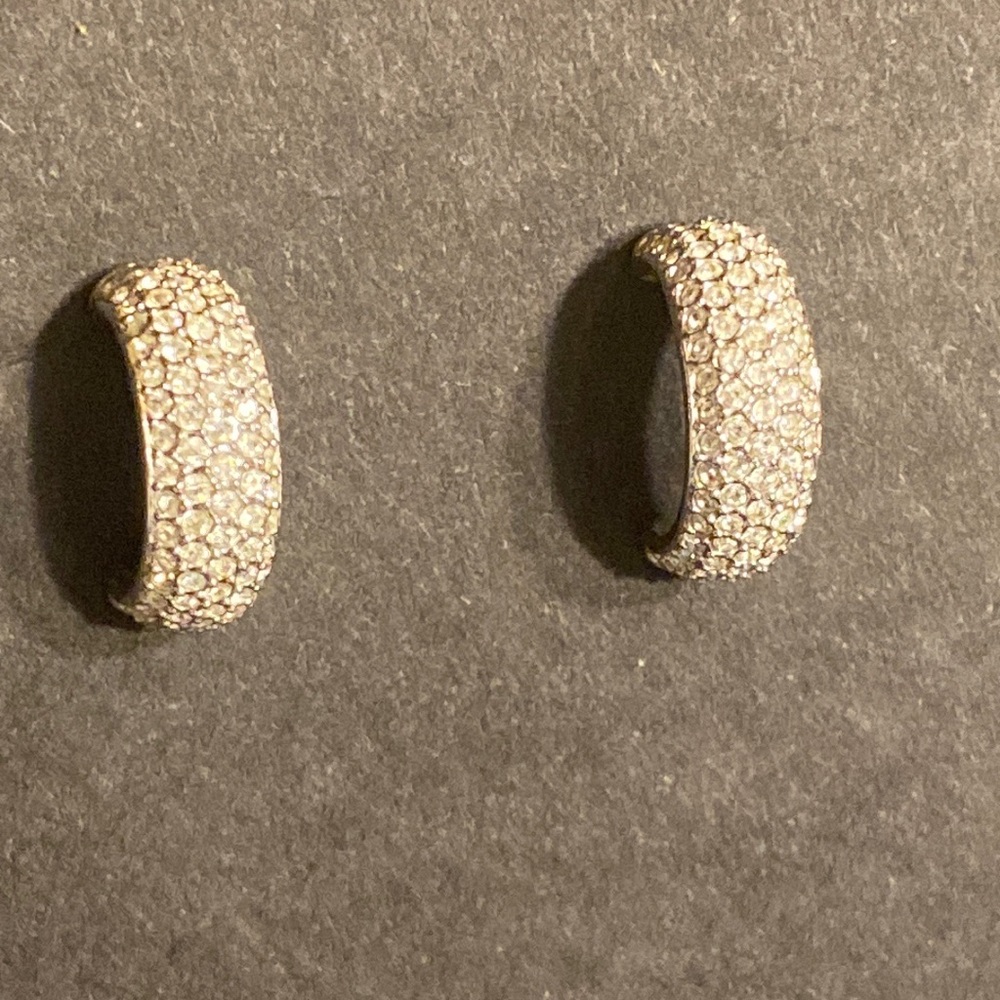 Silver sparkly earrings